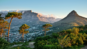 ACIOR - Market study tourism in South Africa